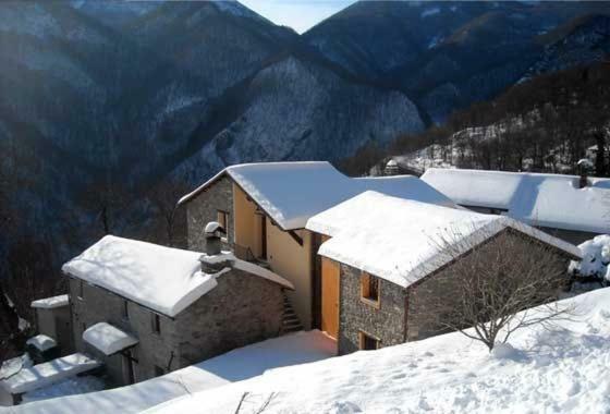CareggineBorgo Delle Panie住宿加早餐旅馆 外观 照片